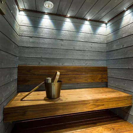 Levin Orion Visit レヴィ