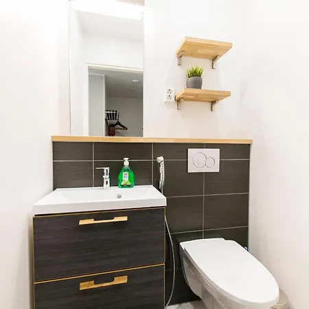 Levin Orion Visit Apartamento Levi
