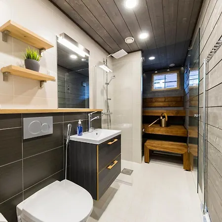Apartamento Levin Orion Visit Levi