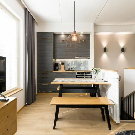 Apartamento Levin Orion Visit Levi